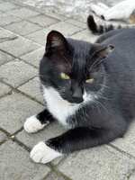 https://images.plurk.com/4imxuTX5XUT2C8qMpMY21t.jpg