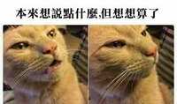 https://images.plurk.com/4ipdEWm7Yh8JN4PdhTJNT1.jpg