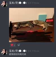 https://images.plurk.com/4isYEKu0O2Zotx7yDmccyB.jpg