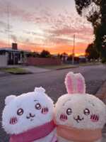 https://images.plurk.com/4iuFnwAlJ6K4lN5qXQ8AZR.jpg