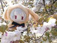 https://images.plurk.com/4iuY58ETvZC9eke8HSIE0h.jpg