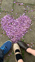 https://images.plurk.com/4iwkrug16nNkScGCDNHwa.jpg