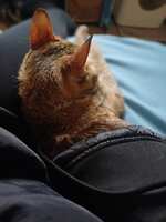 https://images.plurk.com/4izl2cflZmp0tESXAXrF92.jpg