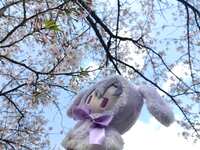 https://images.plurk.com/4j5YJr8UMAFsWlKw1pRUkQ.jpg