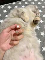 https://images.plurk.com/4j7Gjsj26J4UE79LuZnWkJ.jpg
