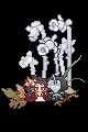 https://images.plurk.com/4jAMcNpJpHY7qHlI3iMImm.png