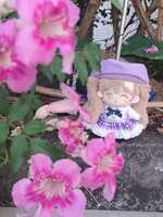 https://images.plurk.com/4jCSghXUoDCc9sDT6MKAGp.jpg