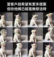 https://images.plurk.com/4jHXFfAEXGQVI4CVkgnsYE.jpg