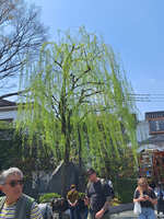 https://images.plurk.com/4jHoAwUJ8pPl9BnH01QzoO.jpg
