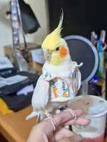 https://images.plurk.com/4jJuHXuzrd5InkJJvE9R0r.jpg