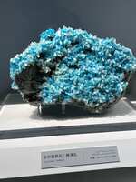https://images.plurk.com/4jMY70cjEBICsfefGsZyFq.jpg