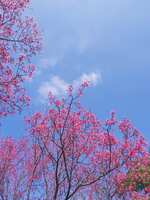 https://images.plurk.com/4jX1ApQeRV2AvjrlCBd3j1.jpg