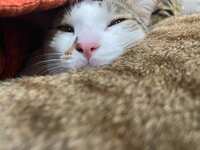 https://images.plurk.com/4jXI2fOtPLS1YaIgsj2V1e.jpg