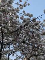 https://images.plurk.com/4jc5JMDfdNUYa56FZFNyQq.jpg