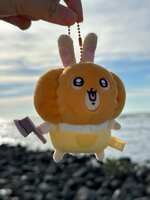 https://images.plurk.com/4jemmbiNfvUwkM0s6Zx0Ur.jpg