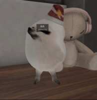 https://images.plurk.com/4jhFW3tLSFThYdfSEvY6wZ.gif