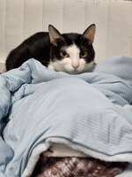 https://images.plurk.com/4jlEIjZzKAmoumEw504eFg.jpg