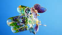 https://images.plurk.com/4jm3e1qw6KrVozdBuZV8fu.jpg