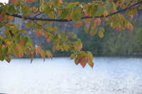https://images.plurk.com/4jov9GNjGZ8GiS6hSVZKv3.jpg
