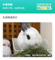 https://images.plurk.com/4js7iSEr0xo60EOCFpw394.jpg