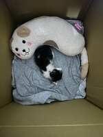 https://images.plurk.com/4jzNP5CLou7QZMdkYLot7L.jpg