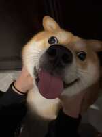 https://images.plurk.com/4jzuqpTt6P4GNp4mgUXhQC.png