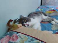 https://images.plurk.com/4k2c44sgjVq3jLkmJCoJqZ.jpg