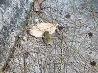 https://images.plurk.com/4k5ax5IOVdO6D2CcOiiQ3c.jpg