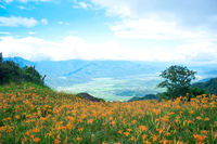 https://images.plurk.com/4k7FBqVWZBKWgM4VSmtPg4.jpg