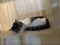 https://images.plurk.com/4keMH3jzvlBXDfxMlVk4j6.jpg