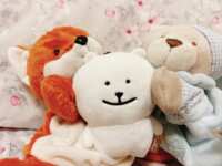 https://images.plurk.com/4kev1zl8GW31VINMa7Vqsb.png
