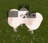 https://images.plurk.com/4khlkDeCI1dwZqFBLgIKSj.gif