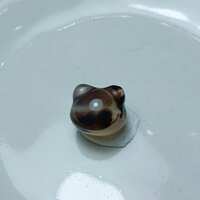 https://images.plurk.com/4ko8NYkw87VcvucmQg7Xt6.jpg