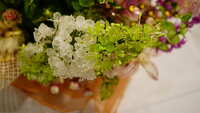 https://images.plurk.com/4krgF8ehYvPvVCCVIOTgC3.jpg