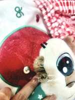 https://images.plurk.com/4kszDgXkuXjVfwGeFoQzIL.jpg
