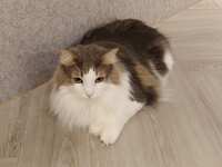 https://images.plurk.com/4kwrizRRSoHOnp6SPlPmbY.jpg