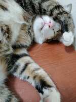 https://images.plurk.com/4l0Ye5c54mpJkofXY46LZk.jpg