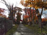 https://images.plurk.com/4lHsK0YG7EIEIOZabuRnE3.jpg