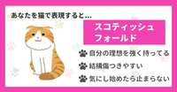 https://images.plurk.com/4lJ2ymIigqcFS7CNH9klgp.jpg
