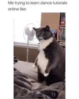 https://images.plurk.com/4lP558BdZXui3uB9VXtqgd.gif