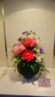 https://images.plurk.com/4lRvEfyhPKlE3NWQdlsTR1.jpg