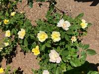 https://images.plurk.com/4lTKhsx793MEFOE21SFZp8.jpg