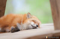 https://images.plurk.com/4lZKcyBsWpGoRj6SBkMuk.jpg