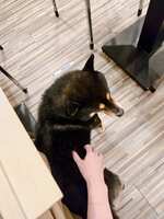 https://images.plurk.com/4li83sN0aeVsNSRmIRYjGb.jpg