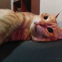 https://images.plurk.com/4m9Ycd5Ko8McTjXCgZPs9v.jpg