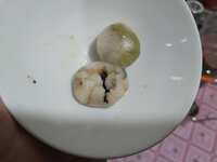 https://images.plurk.com/4mAnriprrGXc63cReZekFQ.jpg