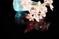 https://images.plurk.com/4mChEmvapHwAR9D3m02gkP.jpg