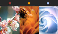 https://images.plurk.com/4mFeNoD3a4OdqfcPL6GpLj.jpg