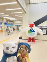 https://images.plurk.com/4mHRJKiPePycvh9WEVw7Ra.jpg