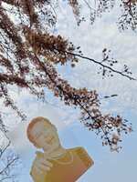 https://images.plurk.com/4mJtfMbSDbylc4Ifd9pLnH.jpg